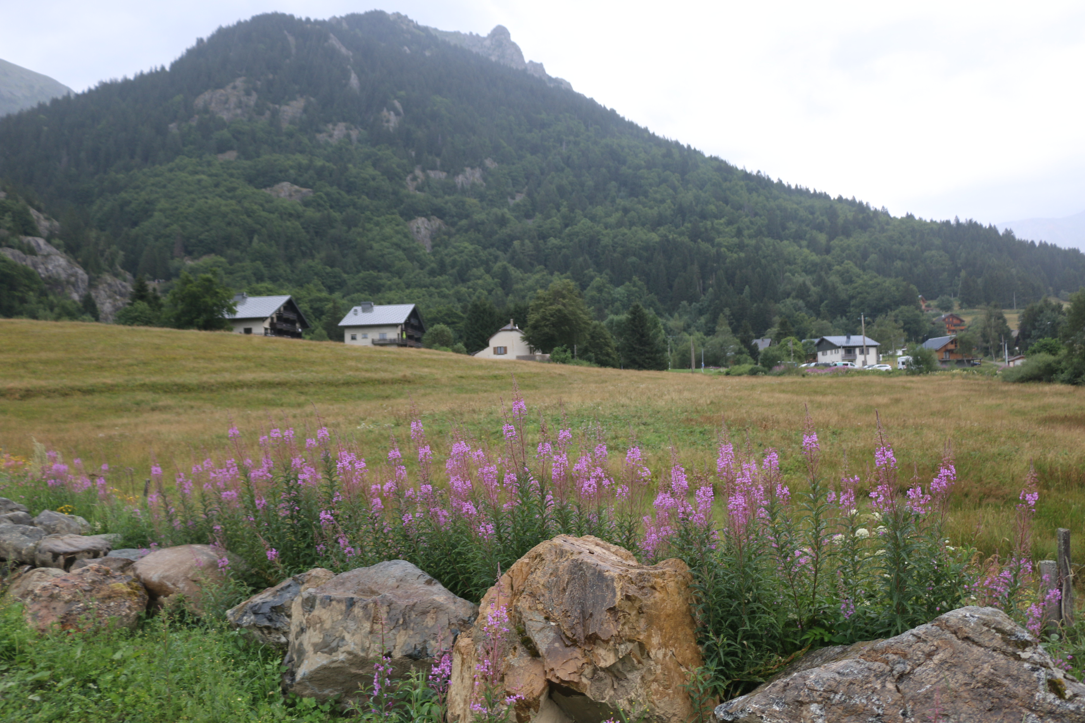 L'Alpe du grand serre.