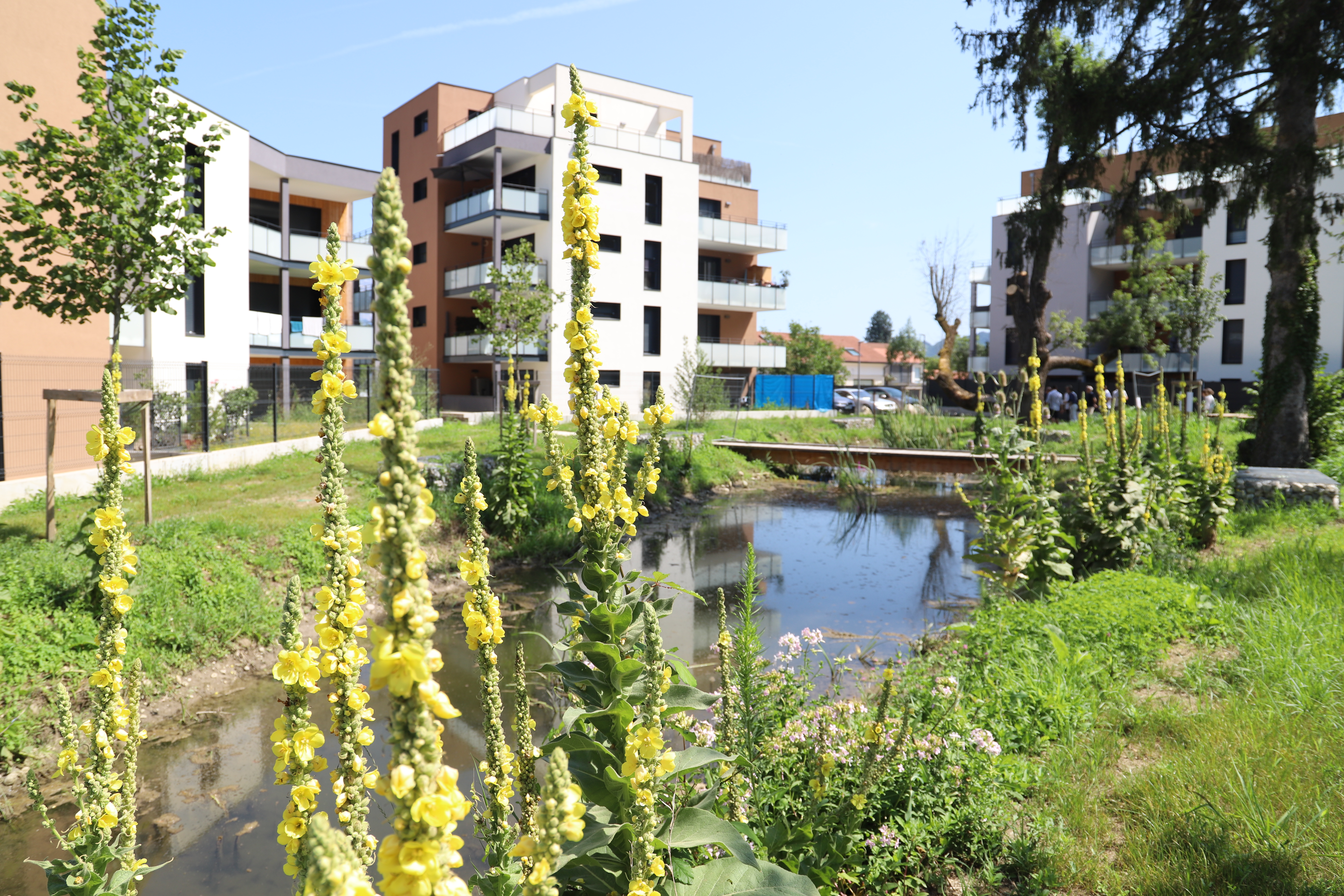 Photo du parc de la chapelle en été, avec la mare et des fleurs au premier plan