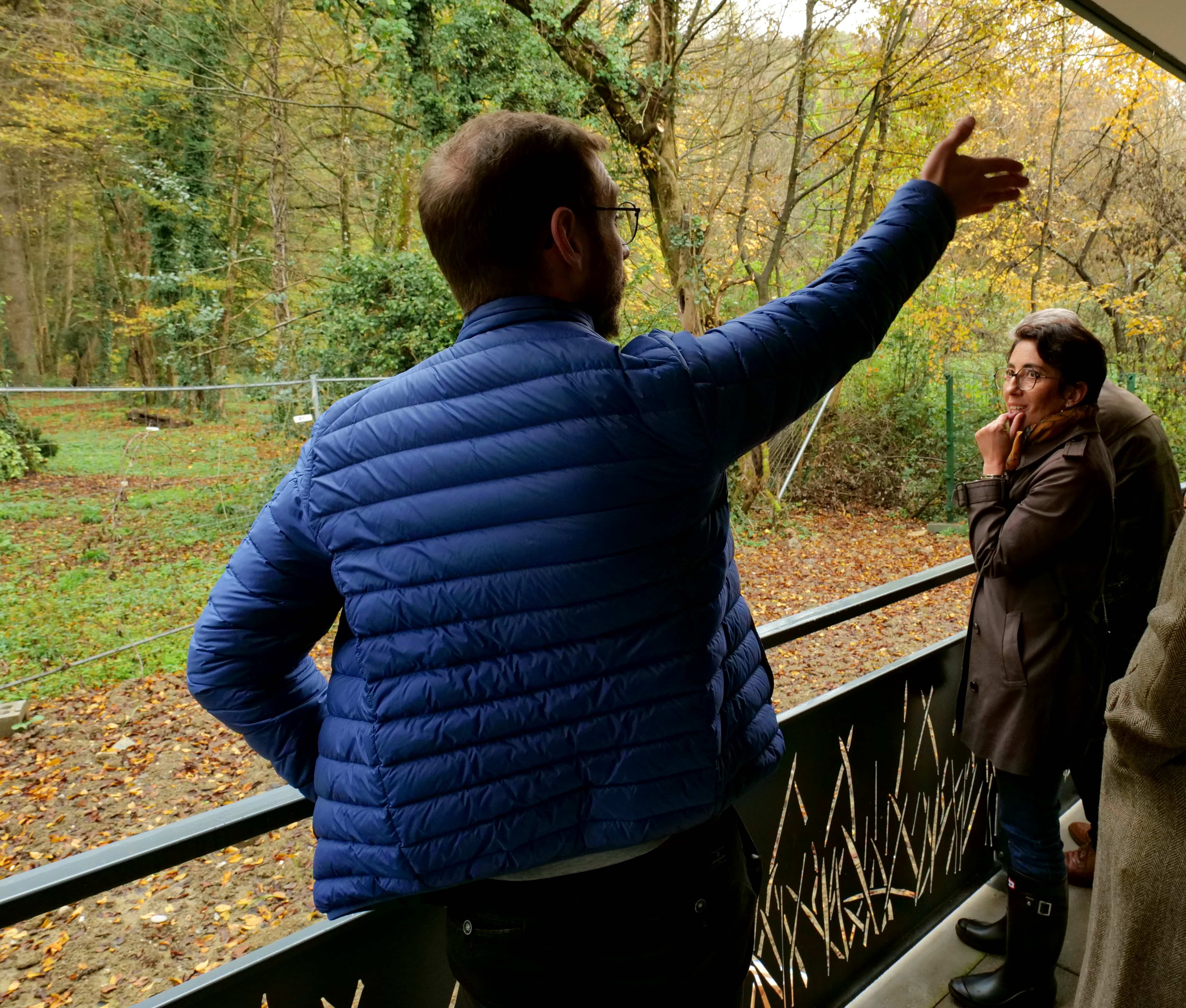 Certains appartements donnent directement sur la forêt de la Frange verte.