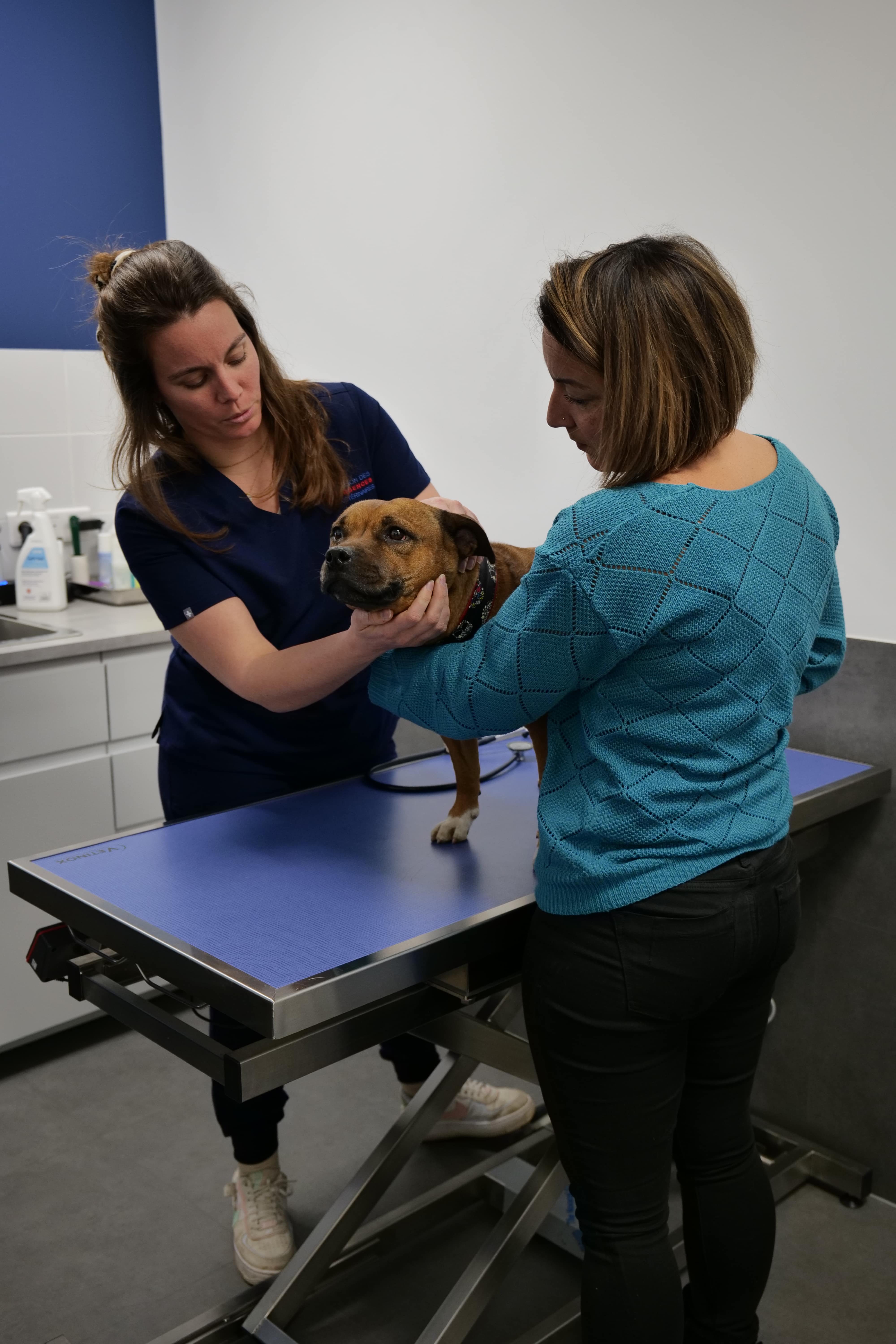 Chaque nuit, un vétérinaire et un assistant prennent soin de vos animaux.