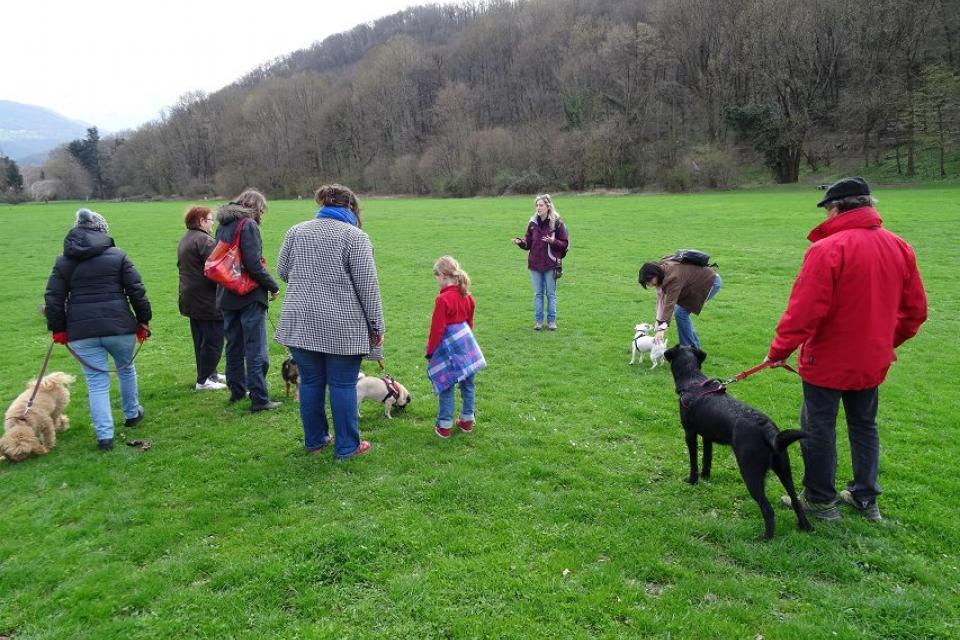 Cours éducation canine 2017