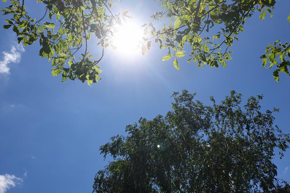 Photo du ciel bleu avec un grand soleil.