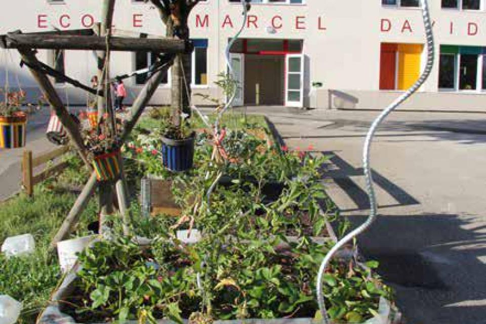 Vue sur un espace végétalisé dans la cour de l'école Marcel David