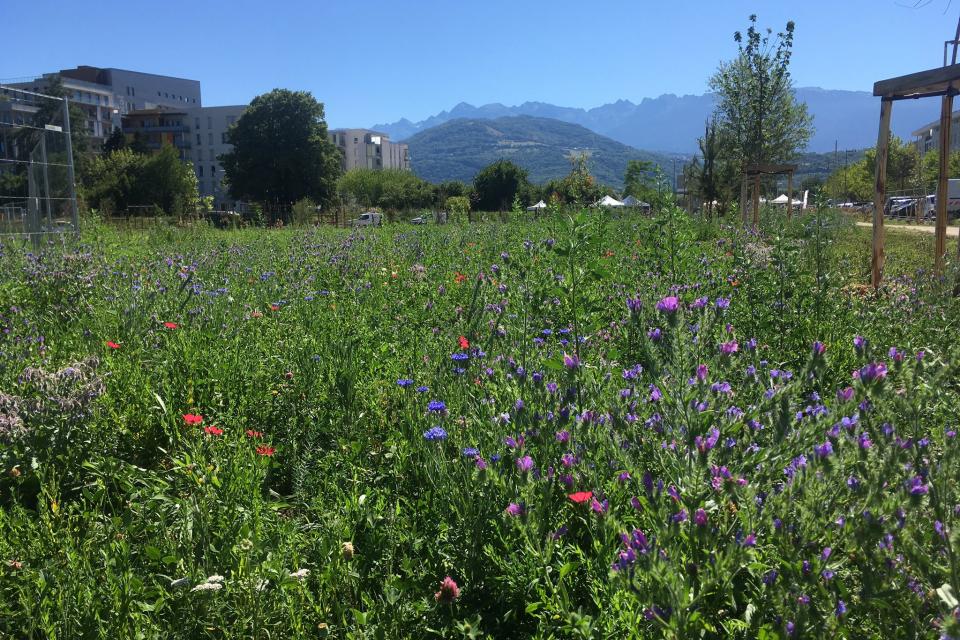 Parc de la croix-de-vérines en fleurs